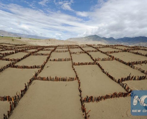 Photo taken on July 16, 2012 shows the grass square used to fix sand dunes on the north bank of the Yarlung Zangbo River, southwest China's Tibet Autonomous Region. (Xinhua File Photo by Purbu Zhaxi)